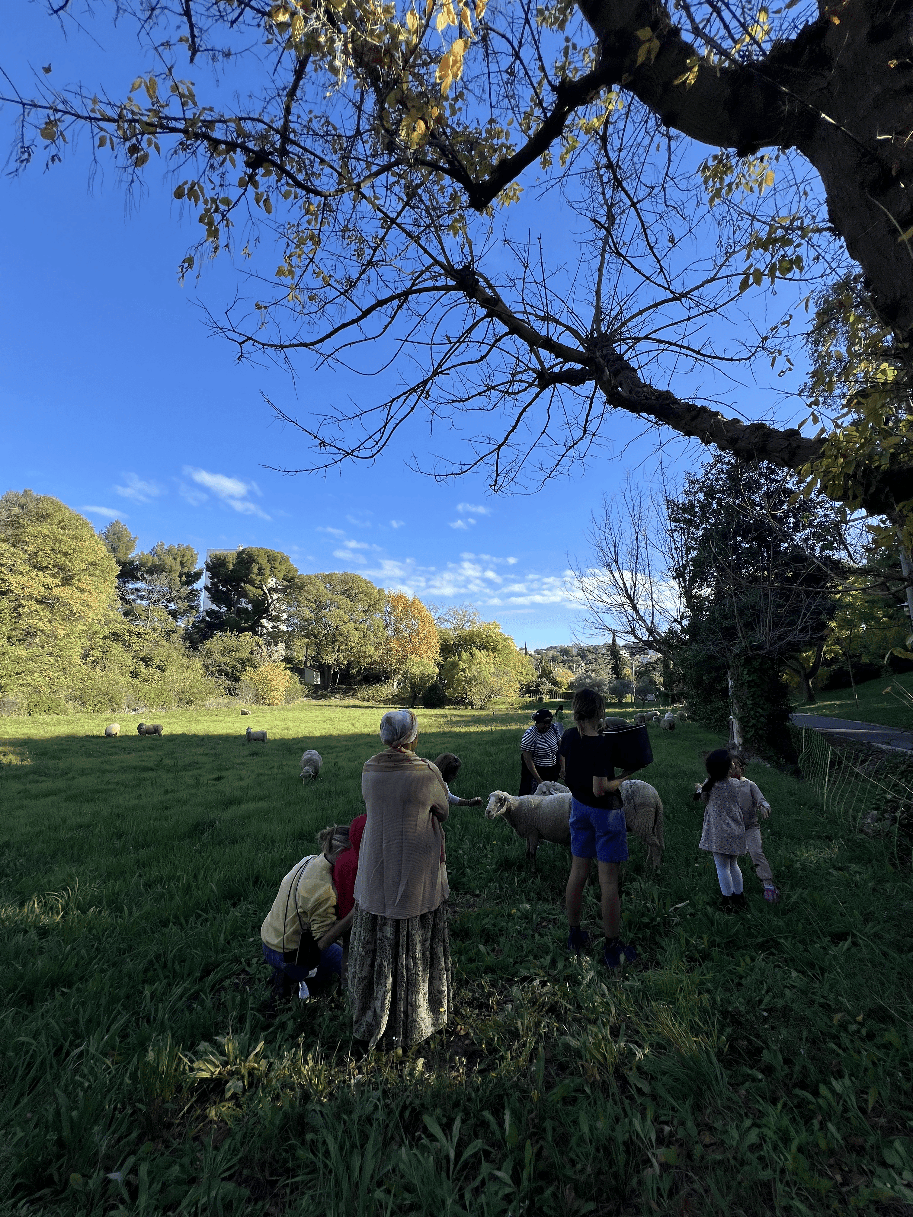 Animations & Médiation animale