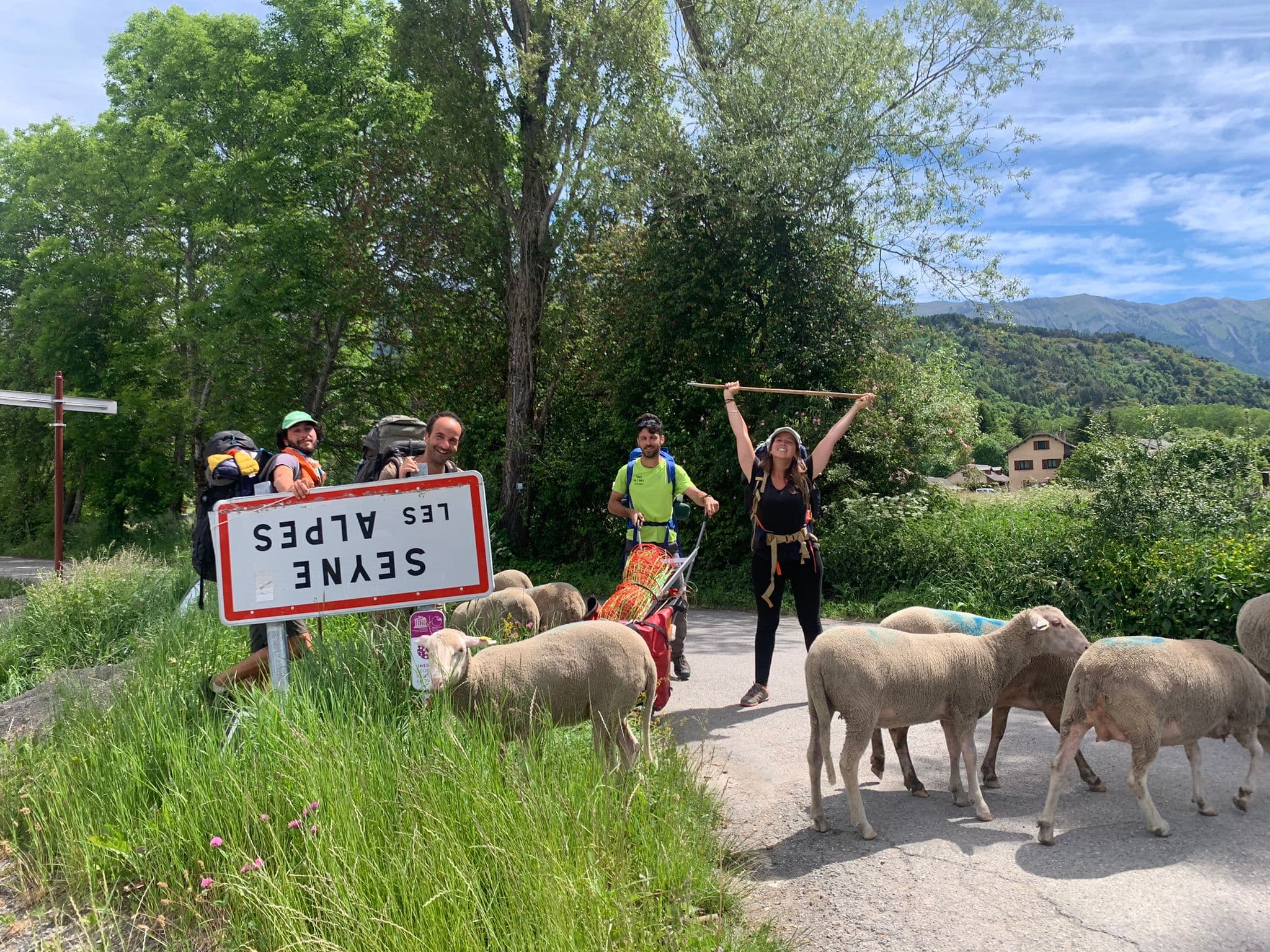 Transhumance estivale