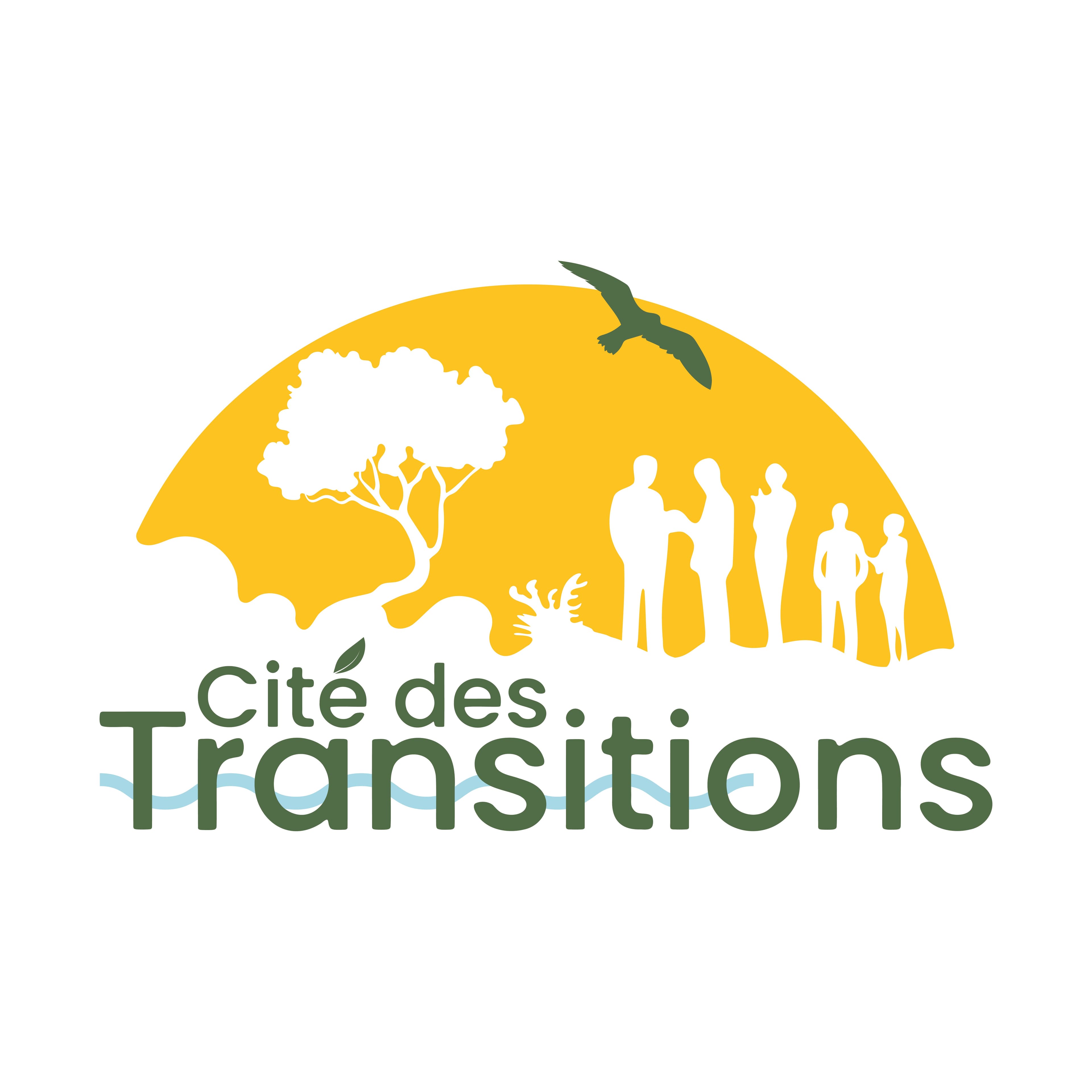 Cité des Transitions