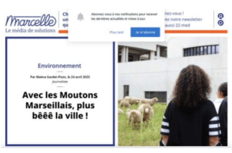 Avec les moutons marseillais, plus bêêê la ville !